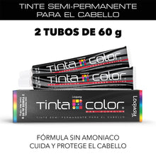 Loquay Tinta Color Violeta Profundo