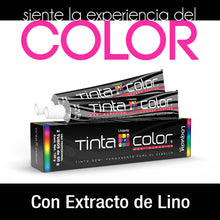 Loquay Tinta Color Violeta Profundo