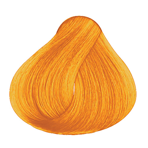 Loquay Tinta Color Amarillo